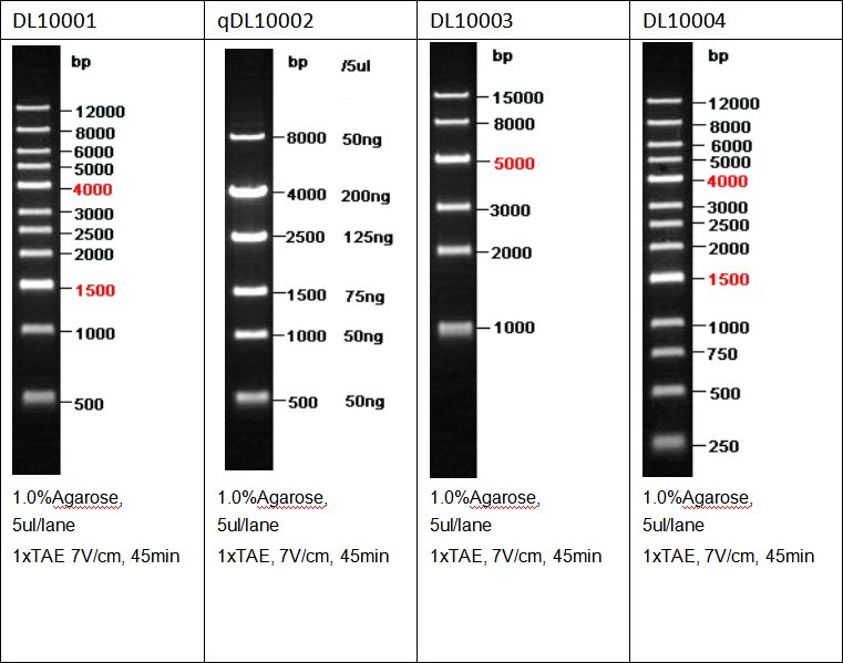 2 ,精准 分离鉴定系列dna marker:   编 号 产品名称 范围/bp (条